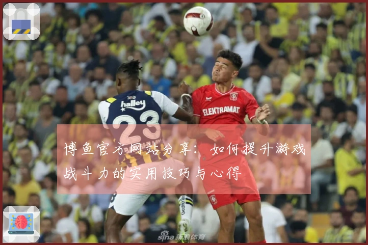 博鱼官方网站分享：如何提升游戏战斗力的实用技巧与心得