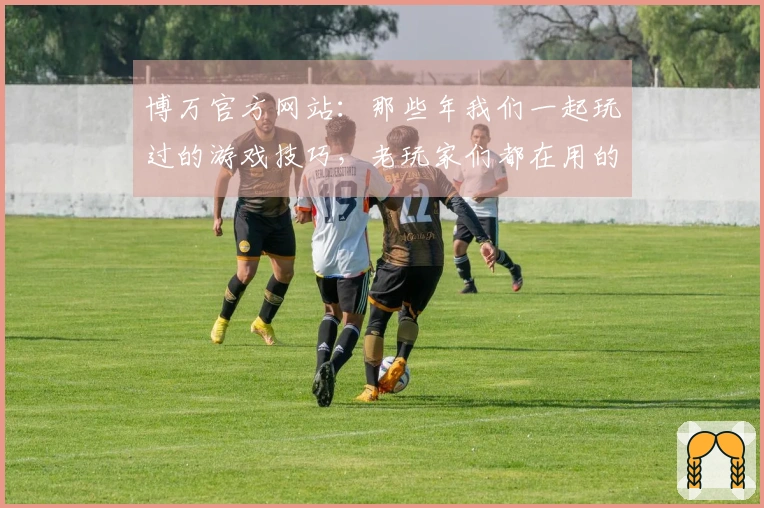 博万官方网站：那些年我们一起玩过的游戏技巧，老玩家们都在用的秘密！