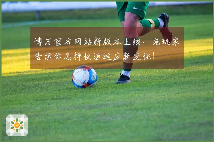博万官方网站新版本上线，老玩家告诉你怎样快速适应新变化！