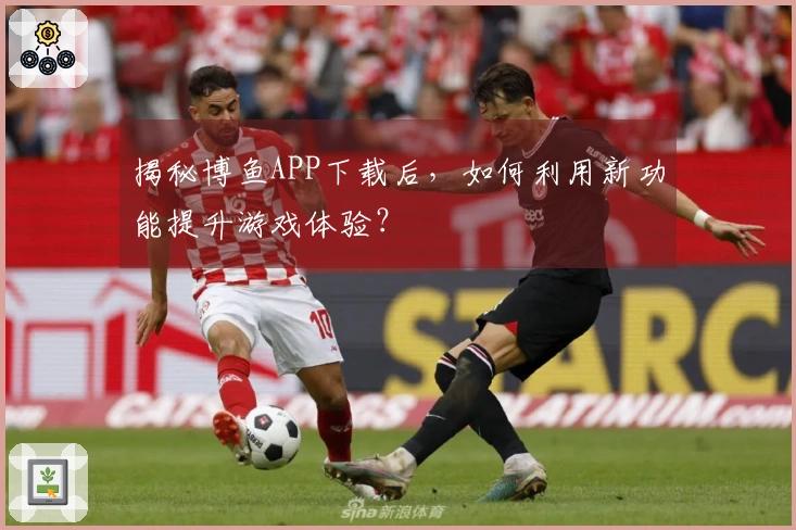 揭秘博鱼APP下载后,如何利用新功能提升游戏体验?