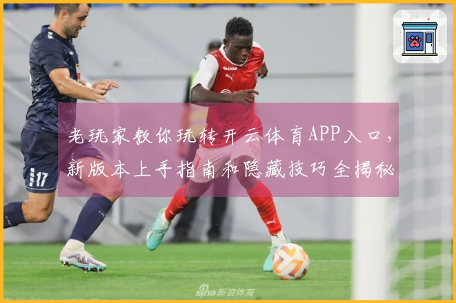 老玩家教你玩转开云体育APP入口，新版本上手指南和隐藏技巧全揭秘