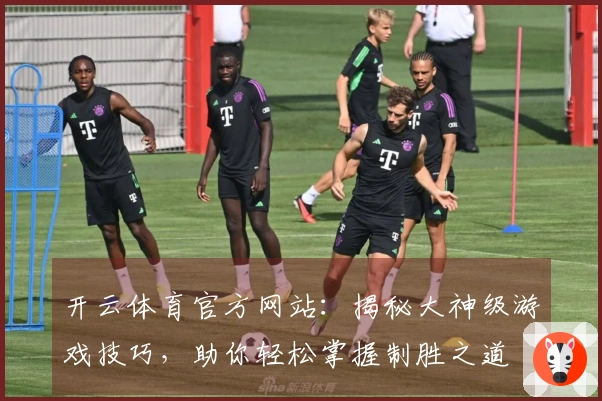 开云体育官方网站：揭秘大神级游戏技巧，助你轻松掌握制胜之道