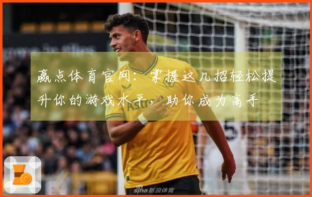 赢点体育官网：掌握这几招轻松提升你的游戏水平，助你成为高手