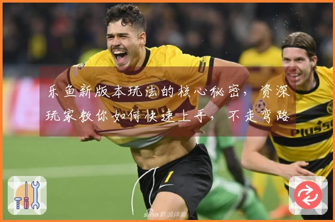 乐鱼新版本玩法的核心秘密，资深玩家教你如何快速上手，不走弯路！